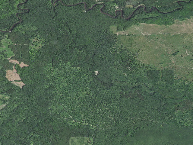 Aerial image of Hopkins Creek State Forest Campground