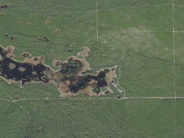 Aerial image of Hopkins Prairie