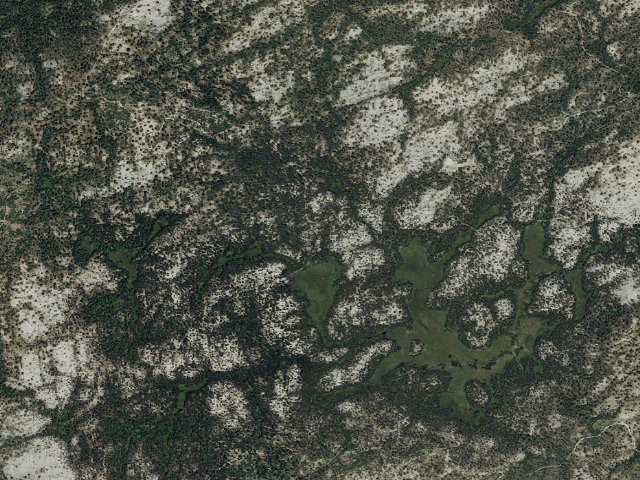 Aerial image of Horse Camp