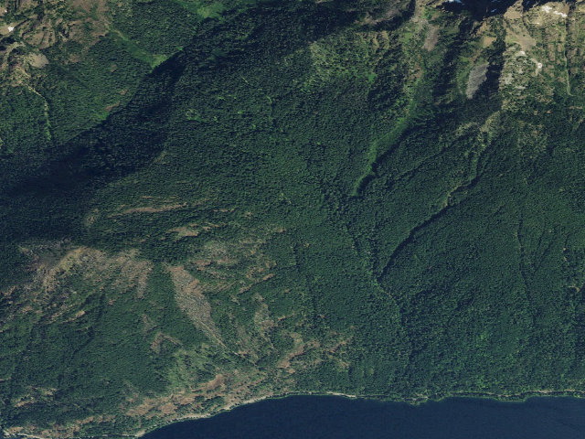Aerial image of Horse Camp