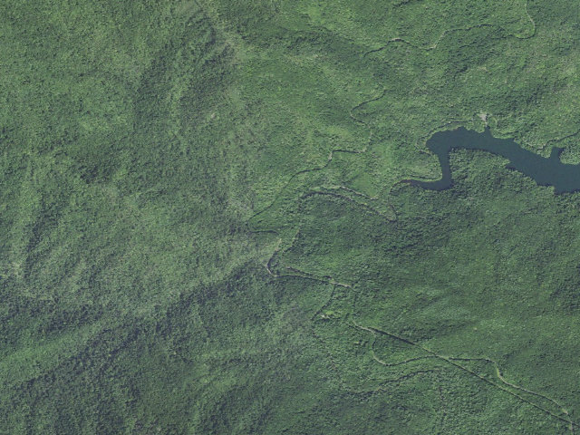Aerial image of Horse Cove Campground