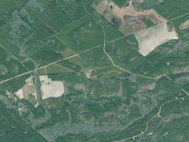 Aerial image of Horse Creek WMA Primitive Campground #1