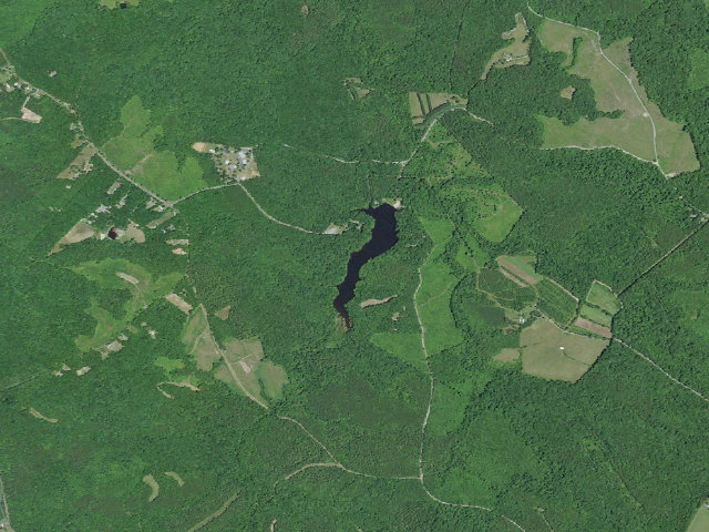 Aerial image of Horsepen Lake WMA