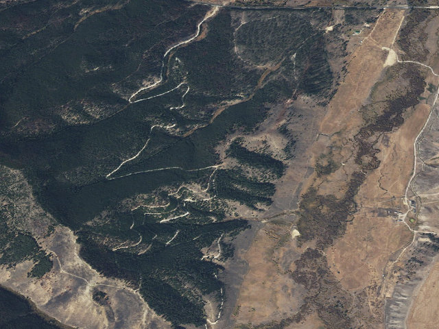 Aerial image of Horses