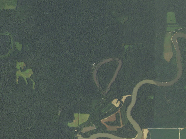 Aerial image of Horseshoe Lake Camping Area #1