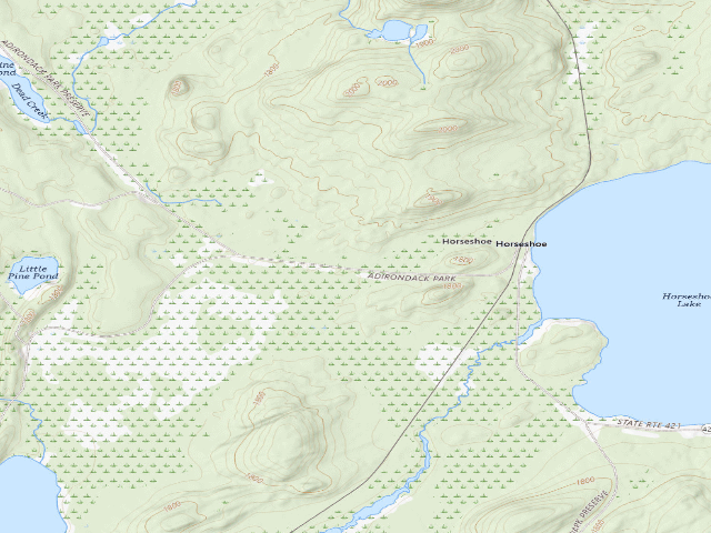 USGS topographic map of Horseshoe Lake Campsite 9 (Horseshoe Lake Wild Forest)