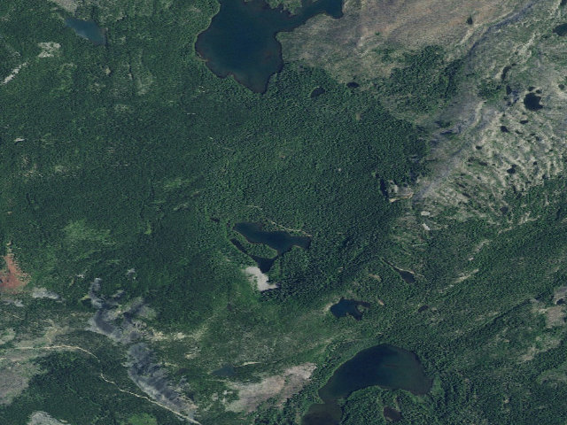 Aerial image of Horseshoe Lake (Olallie)