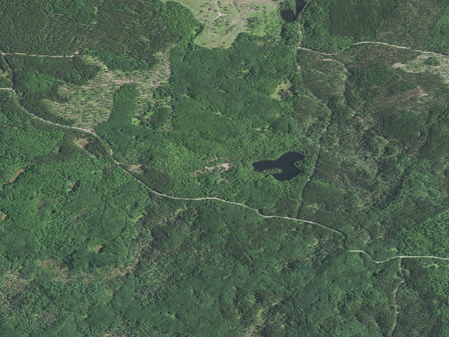Aerial image of Horseshoe Lake