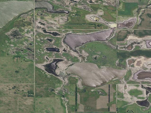 Aerial image of Horseshoe Lake WMA (Pierce County)