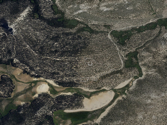 Aerial image of Horseshoe Meadow Equestrian Camp