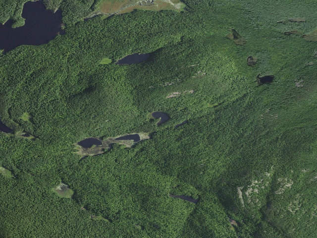 Aerial image of HORSESHOE POND PRIMITIVE TENT SITE (Pharaoh Lake Wilderness)