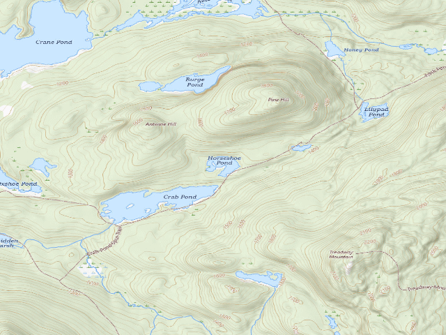 USGS topographic map of HORSESHOE POND PRIMITIVE TENT SITE (Pharaoh Lake Wilderness)