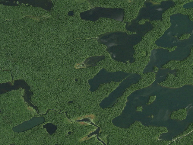 Aerial image of Horseshoe Pond Site 1 (Saranac Lakes Wild Forest)