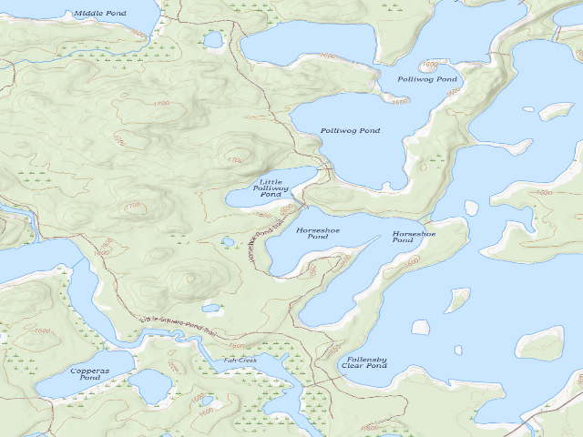 USGS topographic map of Horseshoe Pond Site 1 (Saranac Lakes Wild Forest)