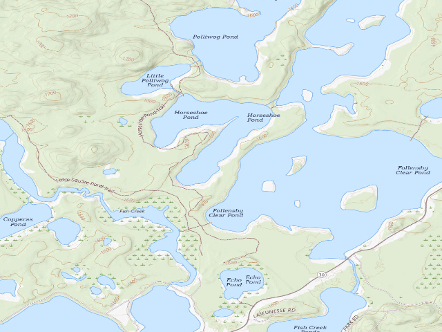 USGS topographic map of Horseshoe Pond Site 3 (Saranac Lakes Wild Forest)
