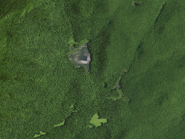 Aerial image of Hour Pond Campsite (Siamese Ponds Wilderness)