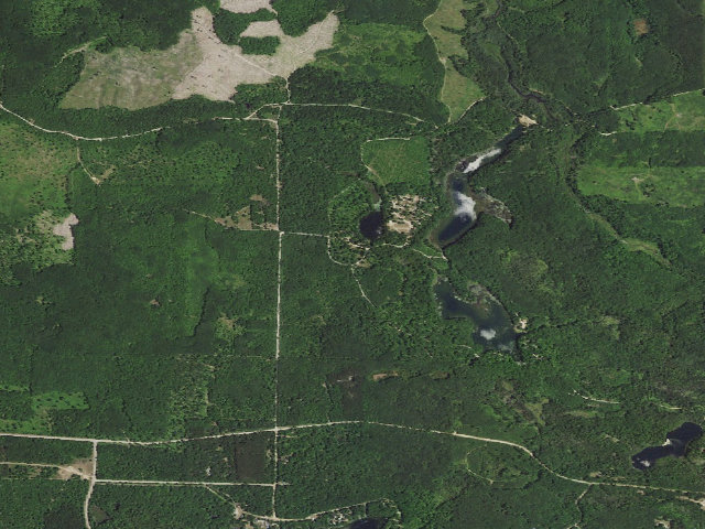 Aerial image of House Lake State Forest Campground