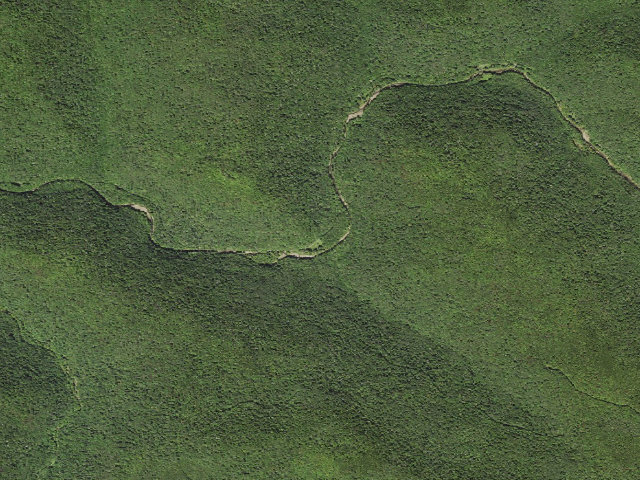 Aerial image of House Log Shelter