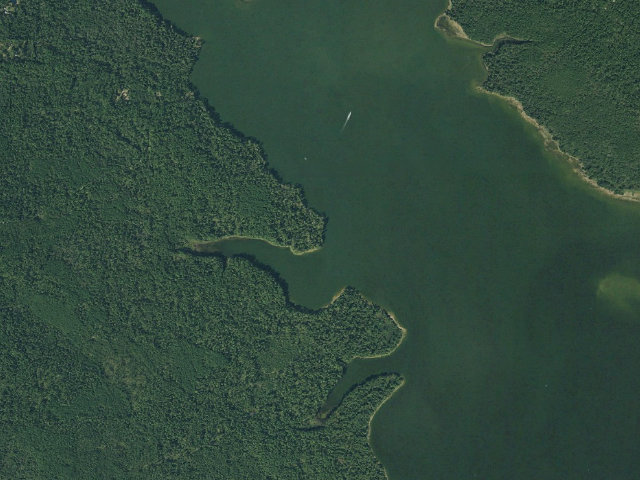 Aerial image of Houston National Forest