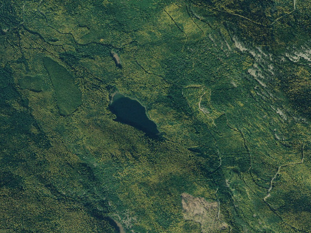 Aerial image of Howard Lake Remote Site