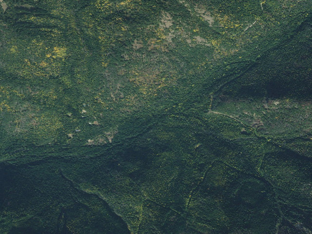 Aerial image of Huckleberry Campground