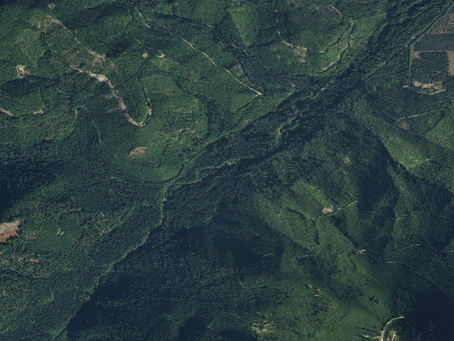 Aerial image of Huckleberry Creek Dispersed Camping