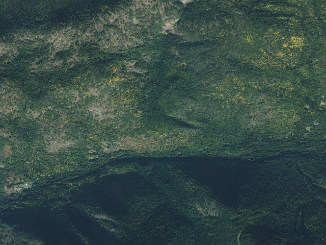 Aerial image of Huckleberry