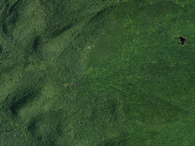 Aerial image of Huckleberry Mt Campsite 14 (Lake George Wild Forest)