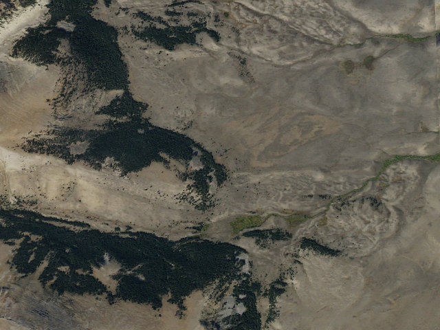 Aerial image of Hugebcool Down Tree