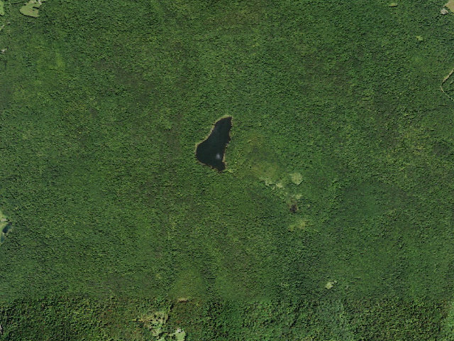 Aerial image of Huggins Lake Road Primitive Campsite [DEC #16729] (Delaware Wild Forest)