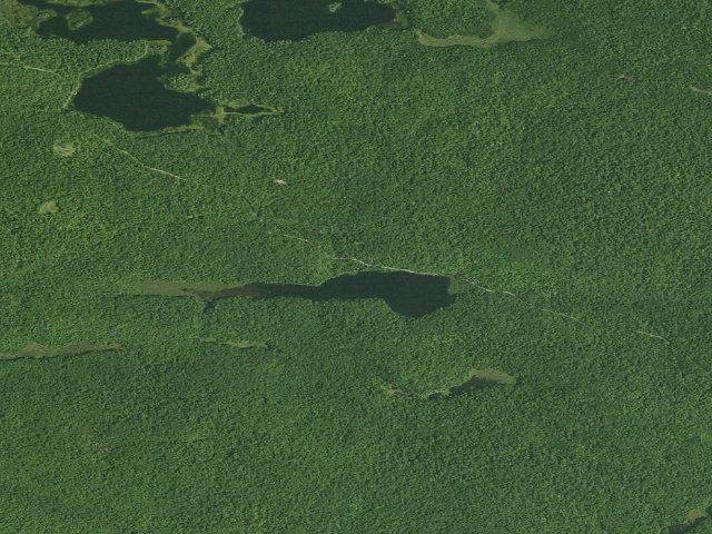 Aerial image of Huntley Pond Campsite #1 (Vanderwhacker Mountain Wild Forest)