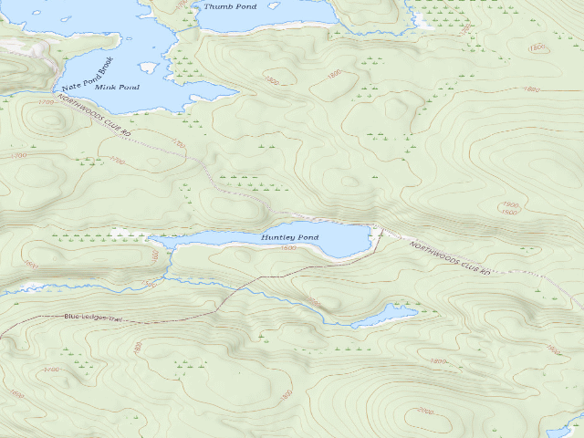 USGS topographic map of Huntley Pond Campsite #1 (Vanderwhacker Mountain Wild Forest)