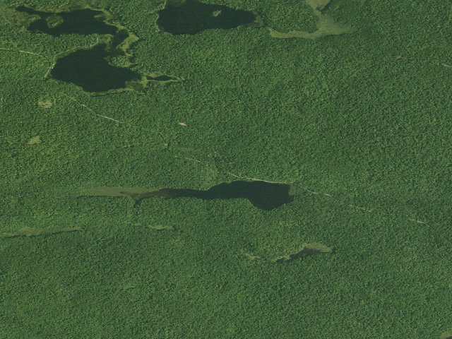 Aerial image of Huntley Pond Campsite #4 (Vanderwhacker Mountain Wild Forest)