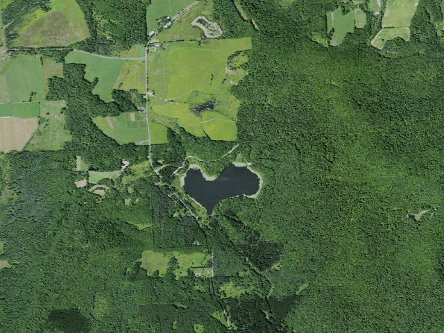 Aerial image of Hunts Pond State Forest