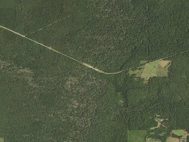 Aerial image of Hwy 160 Primitive Camping
