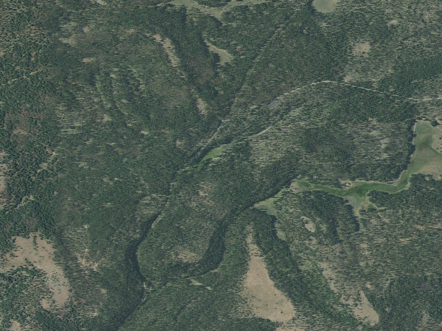 Aerial image of Idlewild