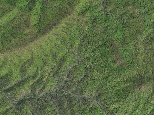 Aerial image of In George Washington National Forest