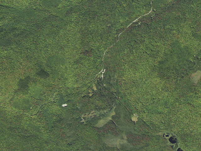 Aerial image of In White Mountain National Forest