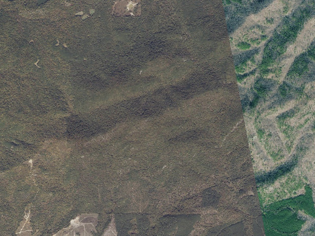 Aerial image of Indian Mountain Tract camping area (Forever Wild, Pinhoti Trail)
