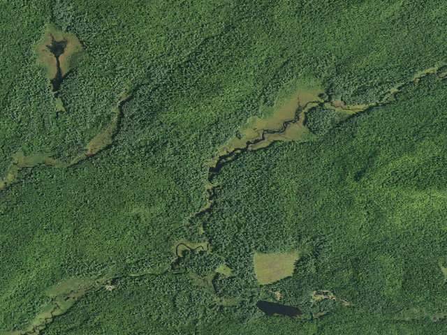 Aerial image of Indian Pond Trail Campsite (Wilcox Lake Wild Forest)