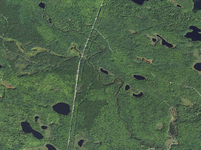 Aerial image of Indian River Four Pond Camping Area