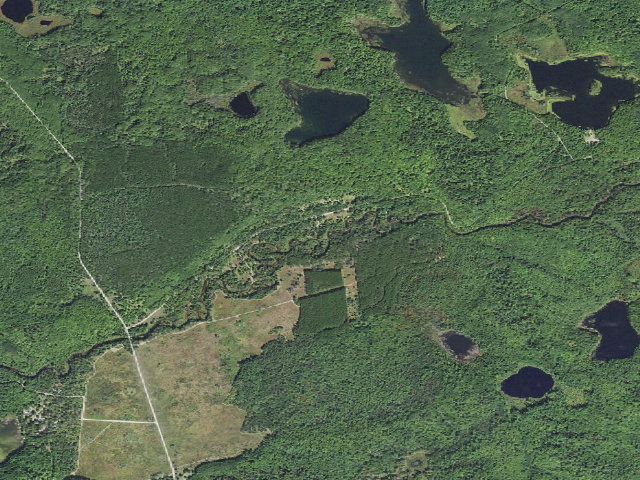 Aerial image of Indian River Pine Peak Camping Area