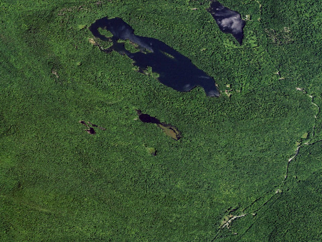Aerial image of Inman Pond Tent Site 1 (Lake George Wild Forest)
