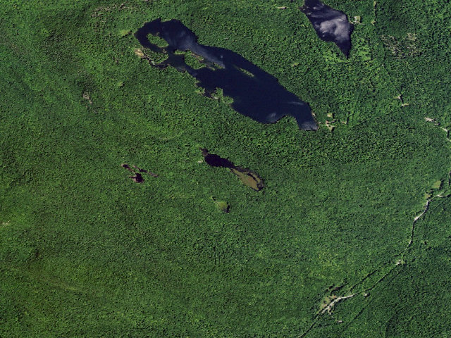 Aerial image of Inman Pond Tent Site 3 (Lake George Wild Forest)