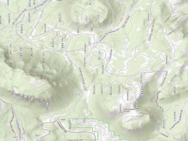 USGS topographic map of Inyo National Forest