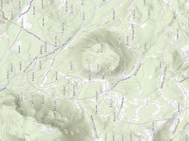 USGS topographic map of Inyo National Forest
