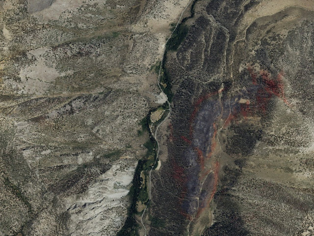 Aerial image of Iris Meadow Cg