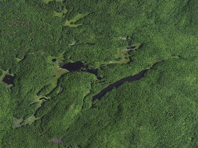 Aerial image of Island Pond Campsite (Lake George Wild Forest)