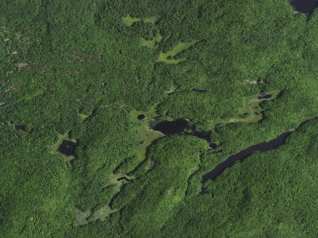 Aerial image of Island Pond Campsite (Lake George Wild Forest)