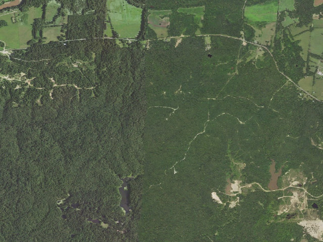Aerial image of J.C. "Sonny" Gilbert WMA primitive camping area 1